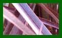 Phormium Tenax Purpureum c