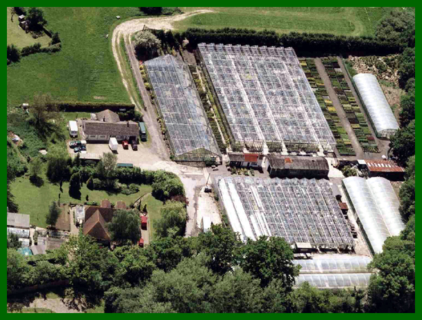 Ariel view of Stone Green site.